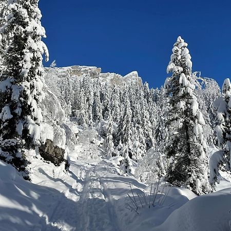 Chalet Du Grand Cerf Серво Экстерьер фото