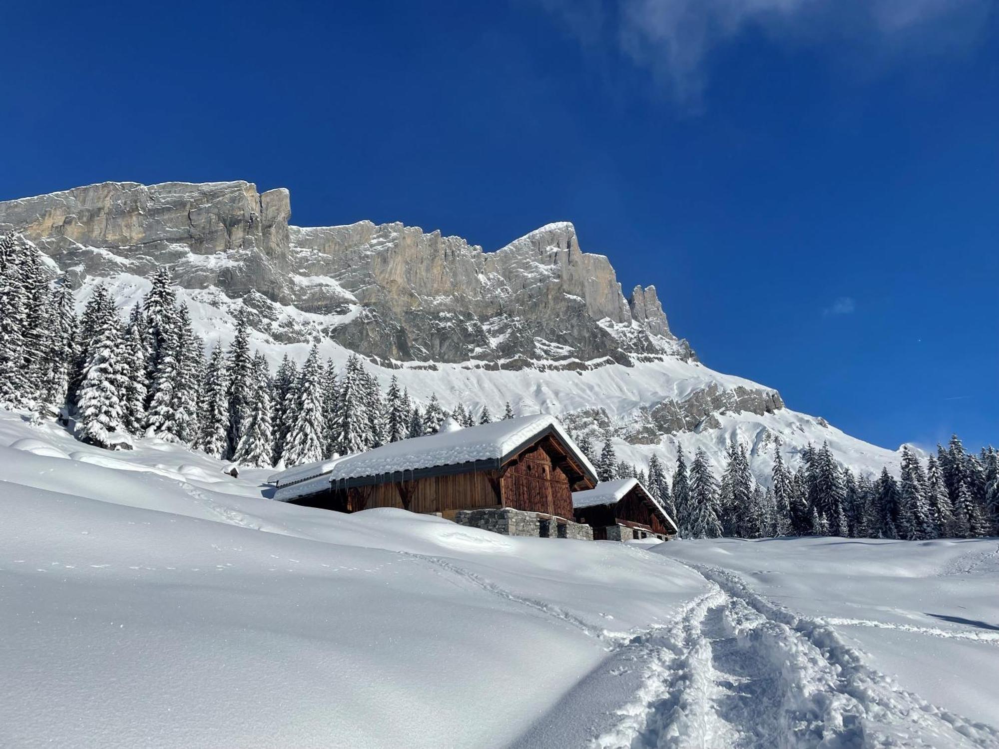 Chalet Du Grand Cerf Серво Экстерьер фото